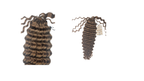 Boardroom Boho Deep Wave pre-looped human hair for Miracle Knots, 18 inch, color #30, #1B, #613, #4, #2, #27
